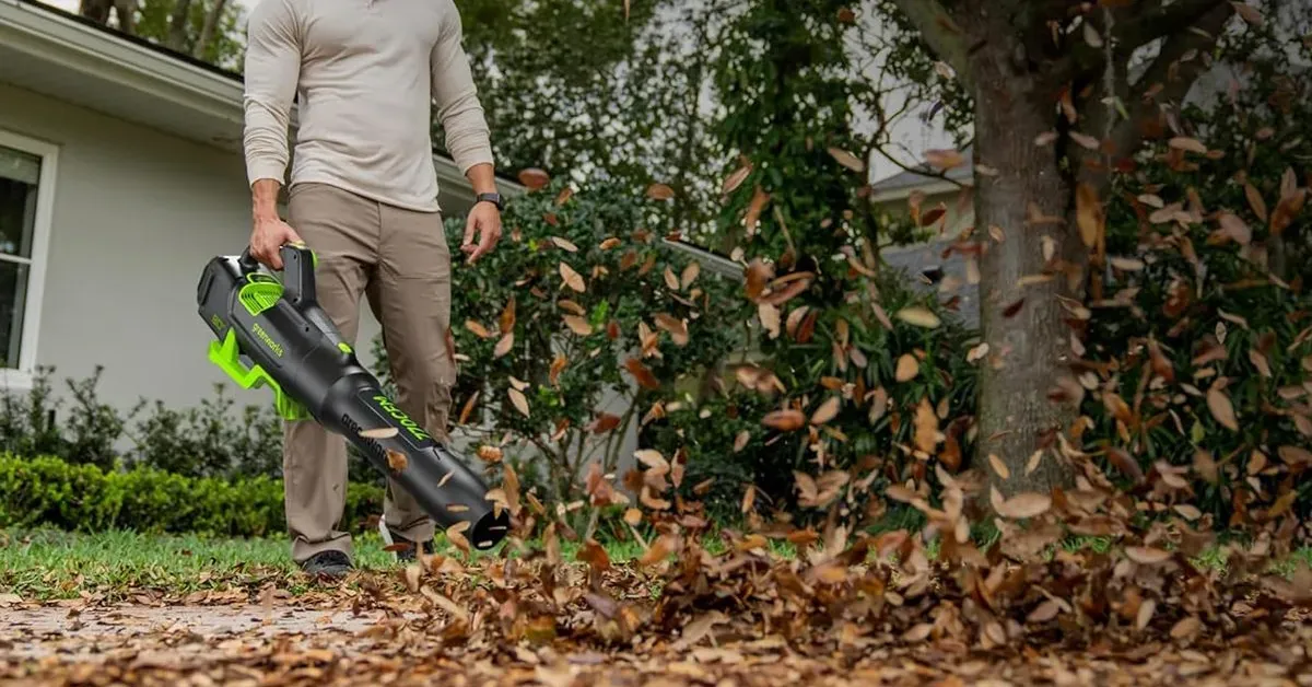 Greenworks 80V Cordless Electric 700 CFM Leaf Blower with 2.5Ah battery