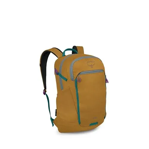 Osprey Axis 24-Liter Laptop Backpack