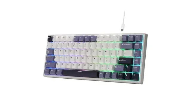 RK ROYAL KLUDGE C84 HE Rapid Trigger Gaming Keyboard, 75% TKL Wired RGB Mechanical Keyboard, Hall Effect Magnetic Switch Keyboard w/Actuation Point Adjustable, 8K Hz Polling Rate