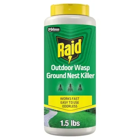 24oz Raid Outdoor Wasp Ground Nest Killer