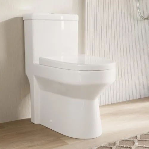 DeerValley Compact One-Piece Dual Flush Toilet