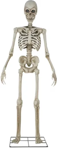 Way To Celebrate 8-Foot Animated Skeleton Plastic Outdoor Halloween Decor