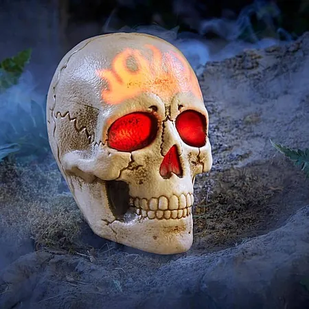 Home Accents 8" Halloween Classics Battery Operated LED Skull