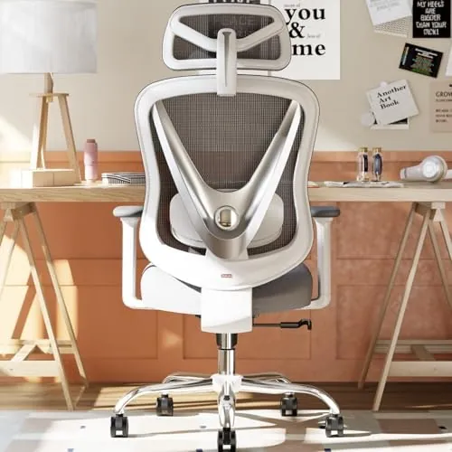 Holludle Ergonomic Mesh Office Chair