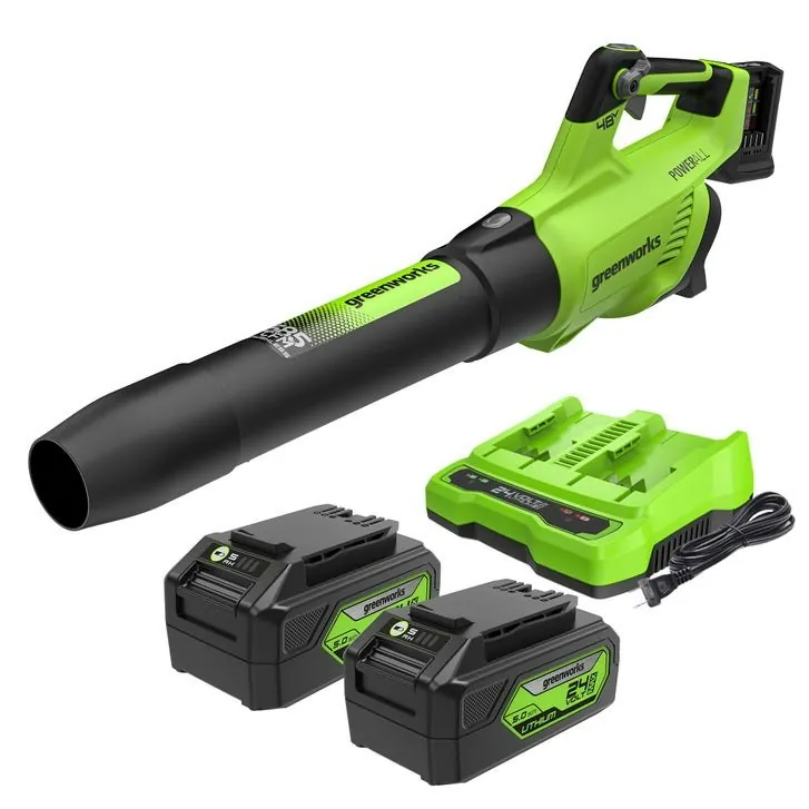 Greenworks 2x24V Blower w/ 2 Batteries & Charger