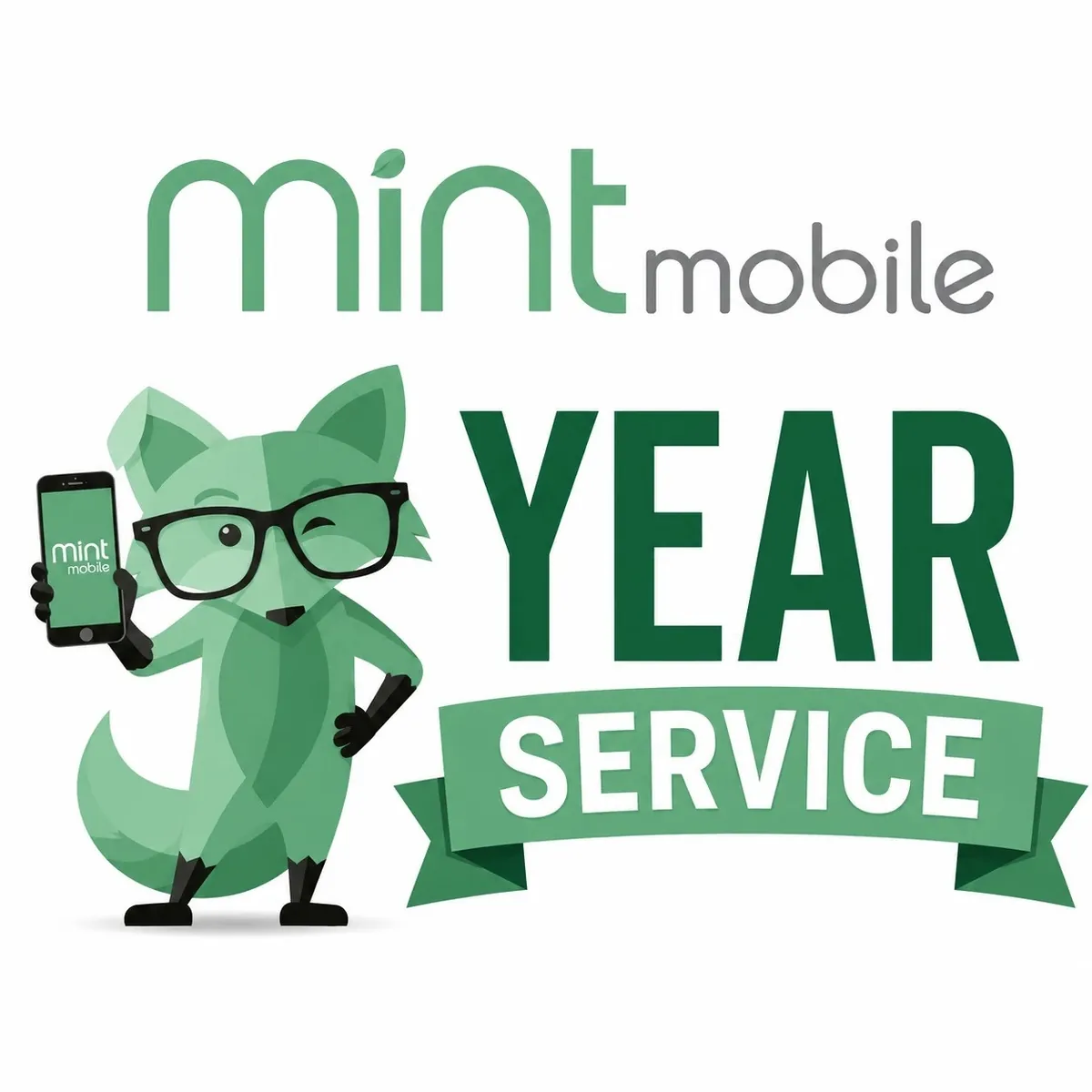 Mint Mobile Year Unlimited Prepaid eSim Card Plan
