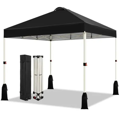 WEIZE 10x10 Pop Up Canopy Tent