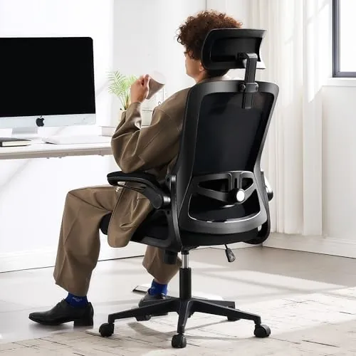 Fizzin Mesh Office Chair with Lumbar Support