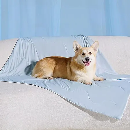 Prime Members: 40"x50" Bedsure Cooling Pet Blanket/Mat w/ Breathable Air-Core Fill