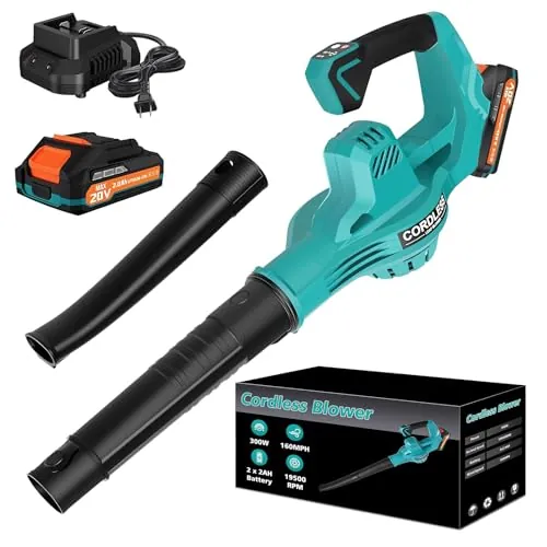 Cordless Leaf Blower with 2 Batteries & Charger
