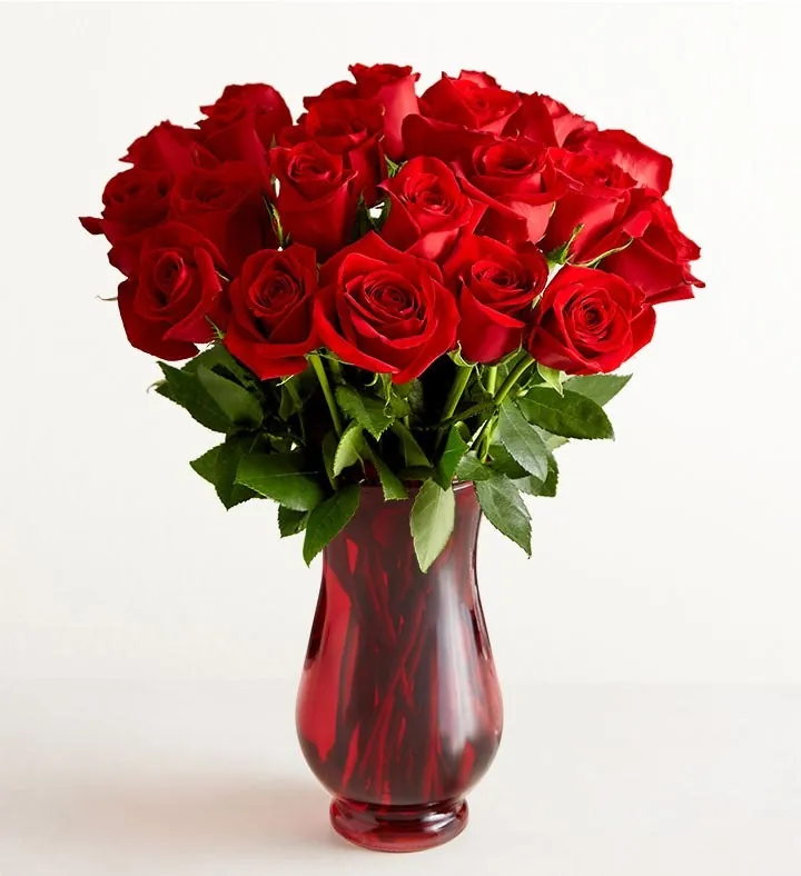Two Dozen Red Roses Bouquet for From $56 + free shipping for Passport members