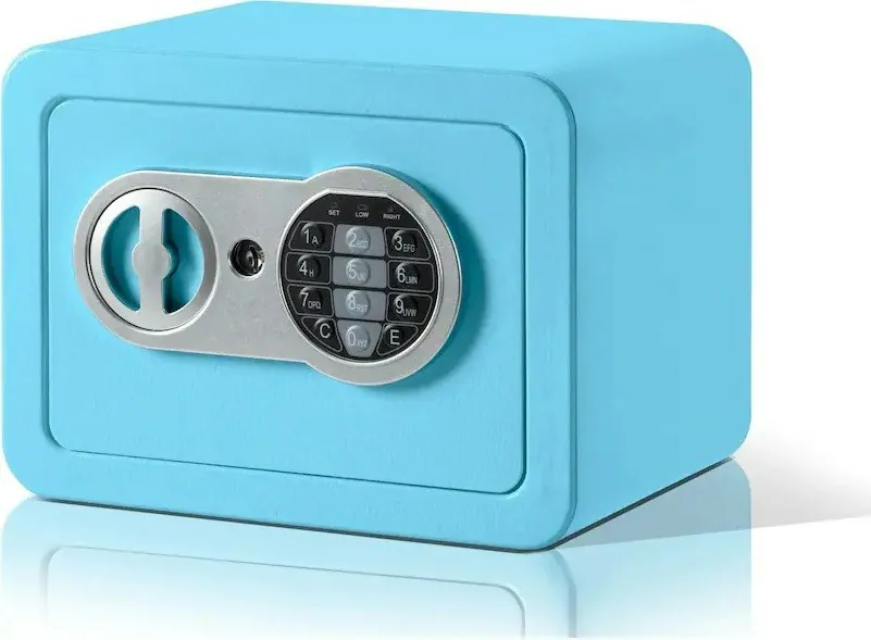 Locksworth 0.25-Cu. Ft. Electronic Digital Safe Box w/ Fireproof Bag