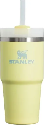 STANLEY Quencher H2.0 FlowState 14-oz Stainless Steel Tumbler (Pomelo)