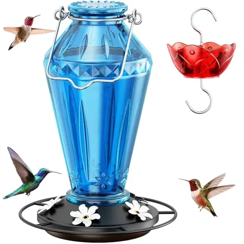 Birdream 25 oz Glass Hummingbird Feeder with Metal Base