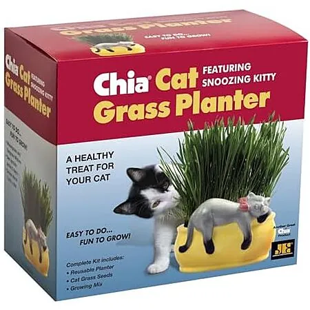 Chia Pet Kitty Cat Grass Decorative Pottery Planter