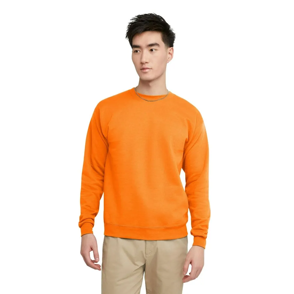 Hanes Men's EcoSmart Fleece Crewneck Sweatshirt