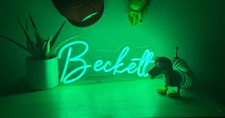 Custom LED Neon Sign