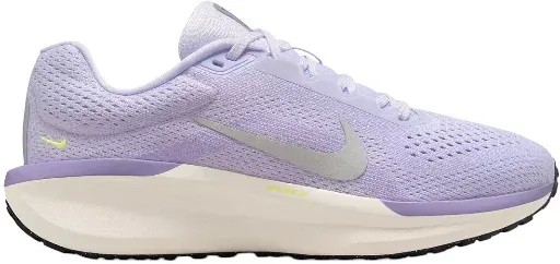Nike Women's Winflo 11 Running Shoes (Purple/Silver)