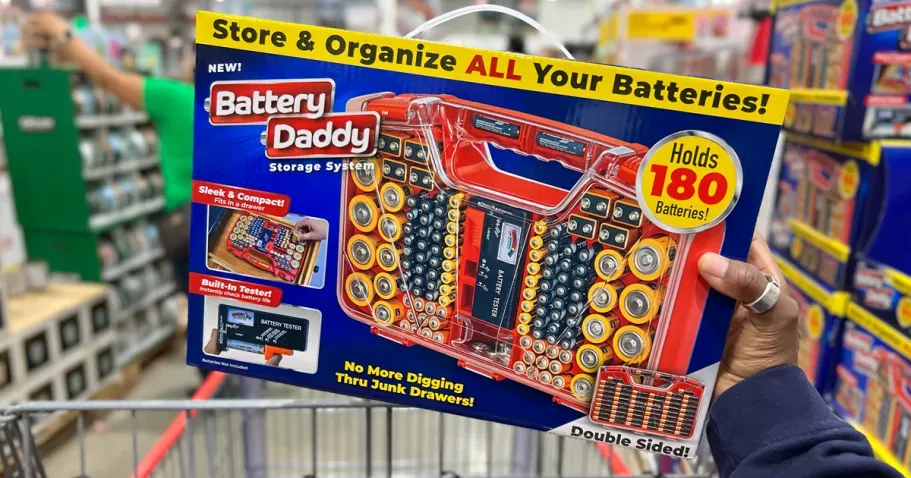 Battery Daddy Storage & Organizer Case