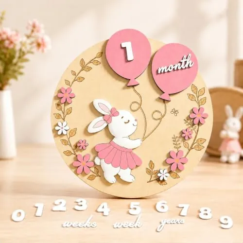 Baby Milestone Sign 3D