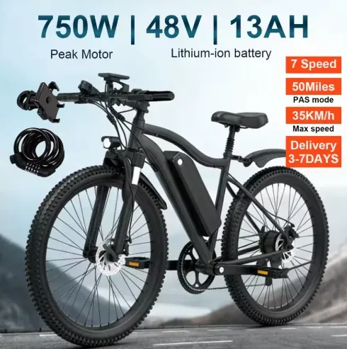 Toofly 26" Mountain E-bike 750W 48V 13Ah