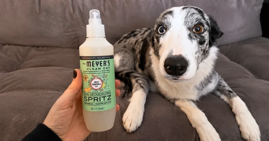 Mrs. Meyer’s Clean Day Dog Deodorizing Spray
