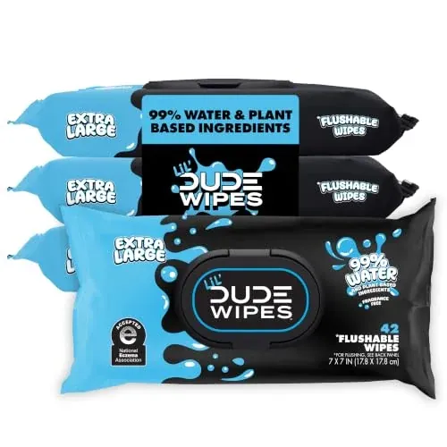 LiL' DUDE Flushable Potty Training Water Wipes 168-Count Unscented