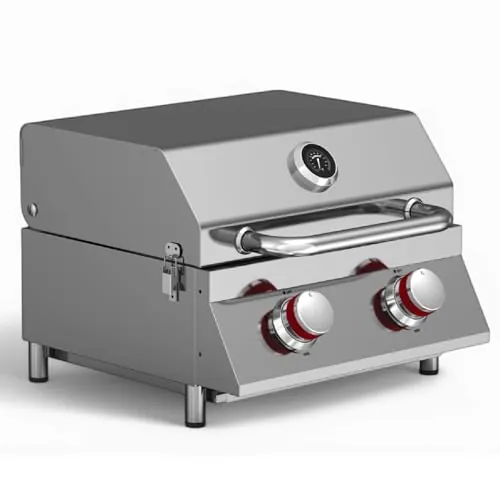 GasOne Portable Propane Grill 16-inch