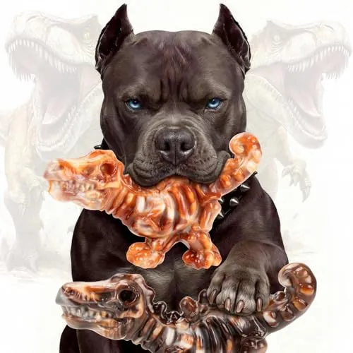 DinoBone Tough Dog Chew Toys 2-Pack