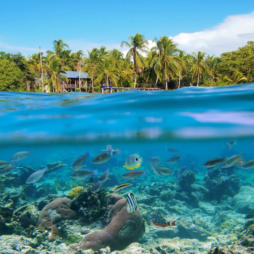 Windstar 8-Night Aruba to Panama City Cruise for From $6,492 for 2