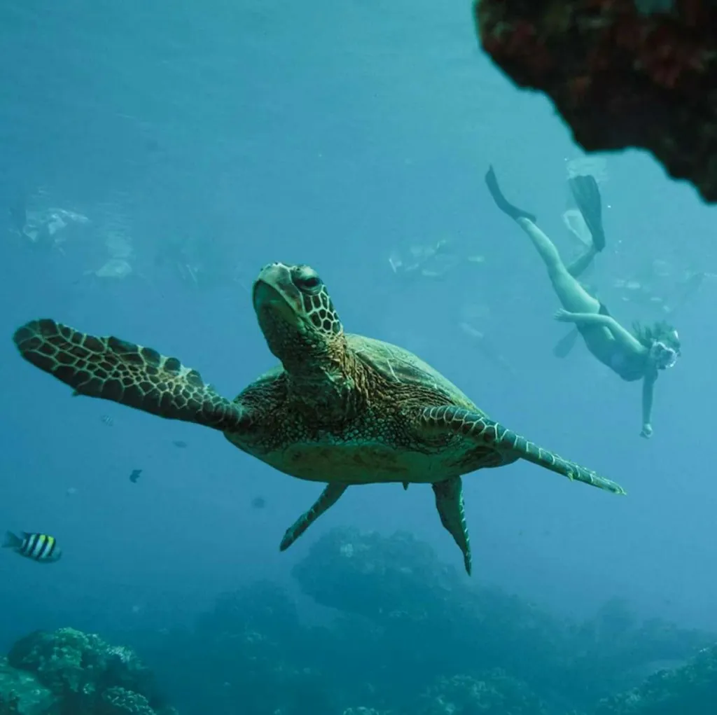 UnCruise Adventures 7-Night Hawaiian Seascapes Cruise for From $17,400 for 2