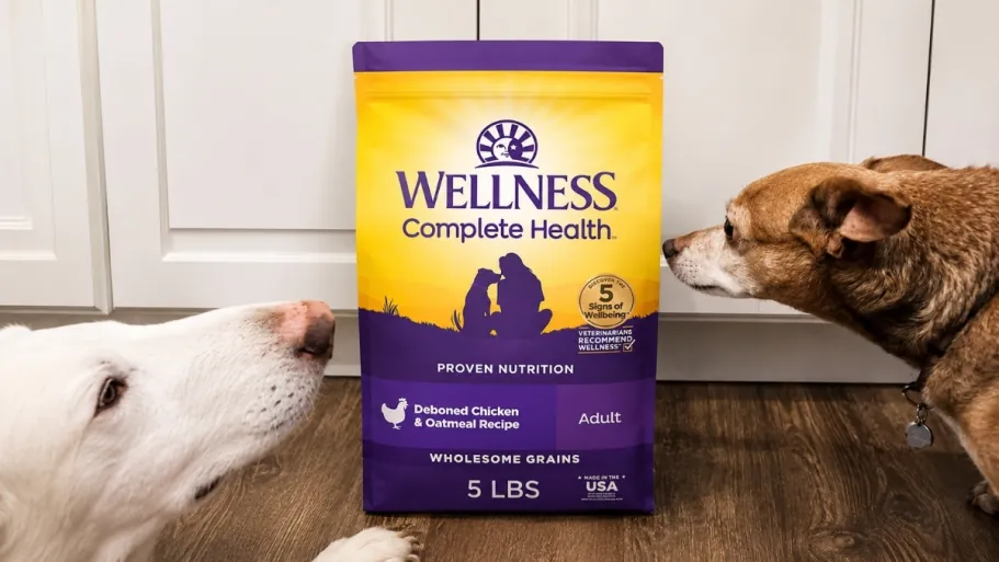 Wellness Complete Health Adult Dry Dog Food 30lb Bag