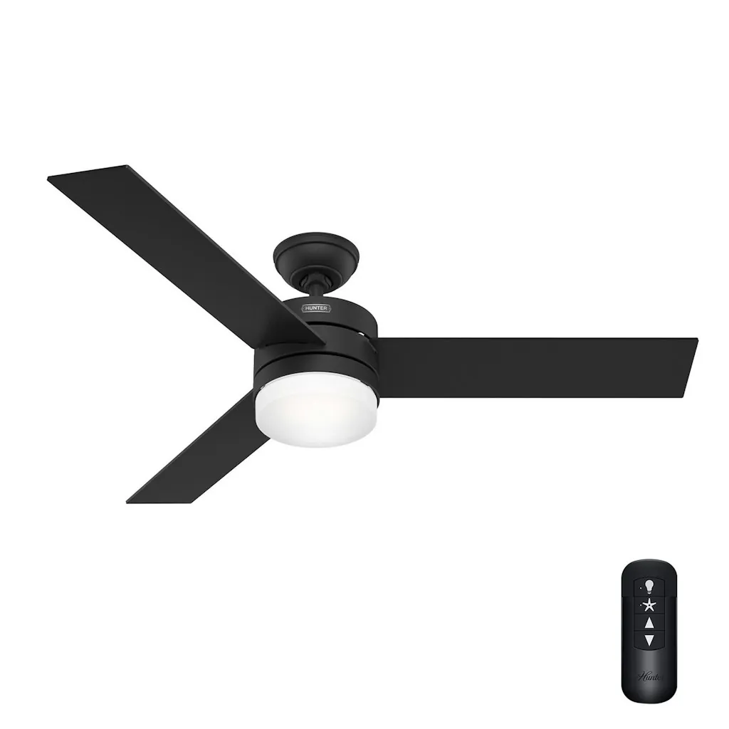 Certified Refurbished Hunter 54" Outdoor Ceiling Fan with Light and Remote