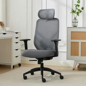 TrueWellness Zentro Ergo Mesh Chair