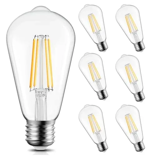 6-Pack 60W Edison Light Bulbs