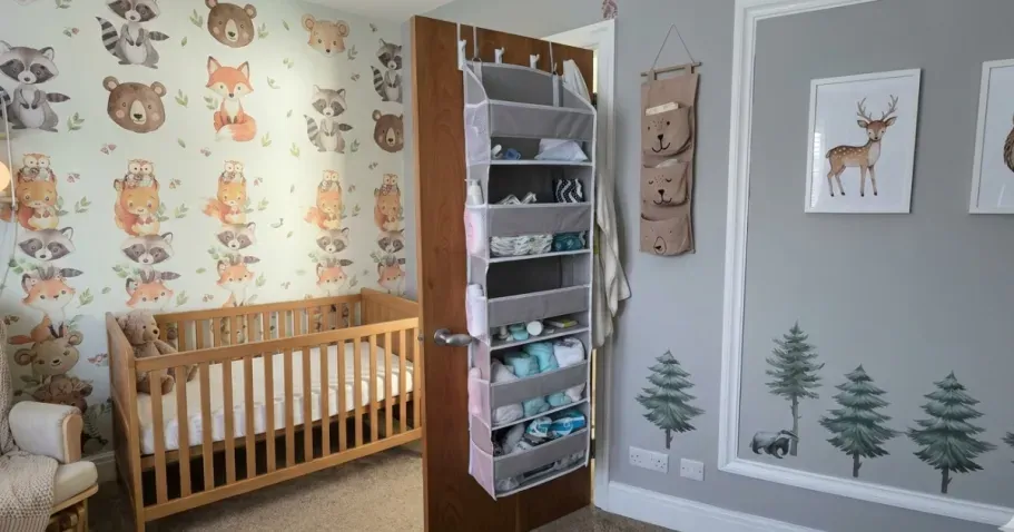 Over-the-Door Organizer