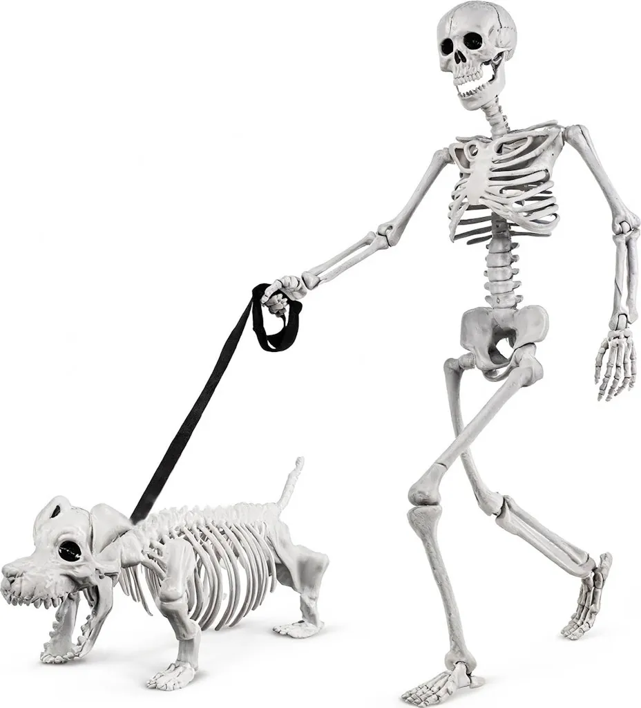 3-Foot Human & Dog Skeleton Halloween Set