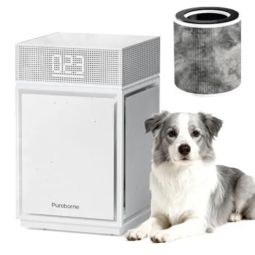 Pureborne HEPA Air Purifier for Home Large Room 1-Pack