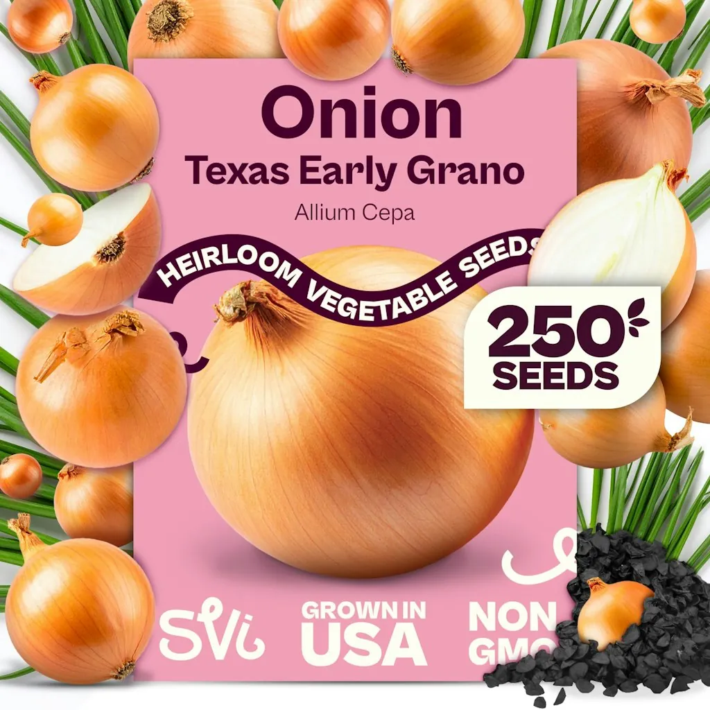 250 Texas Early Grano Onion Seeds