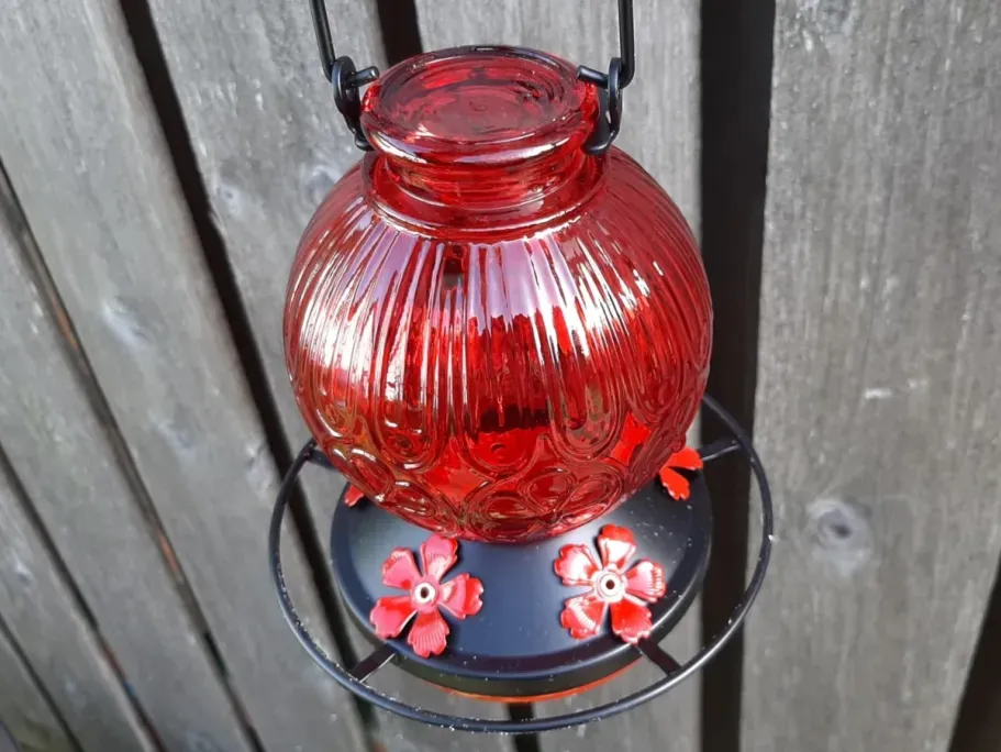 Glass Hummingbird Feeder