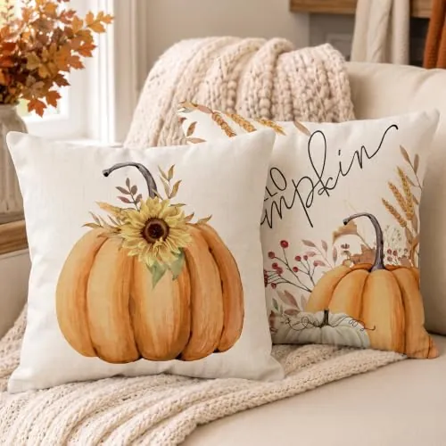 Throw Pillow Covers 18x18" Set of 2