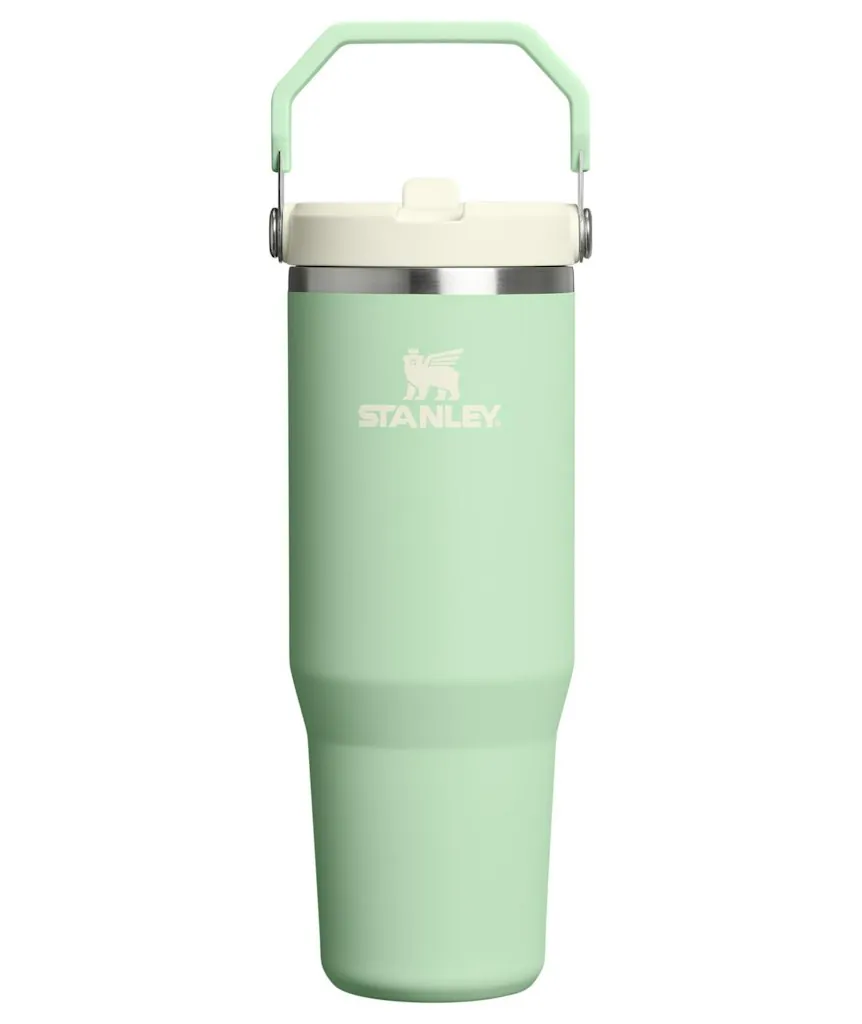 Stanley IceFlow 2.0 Flip Straw 30-oz. Tumbler
