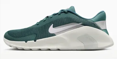 Nike Flex Train Men's Workout Shoes